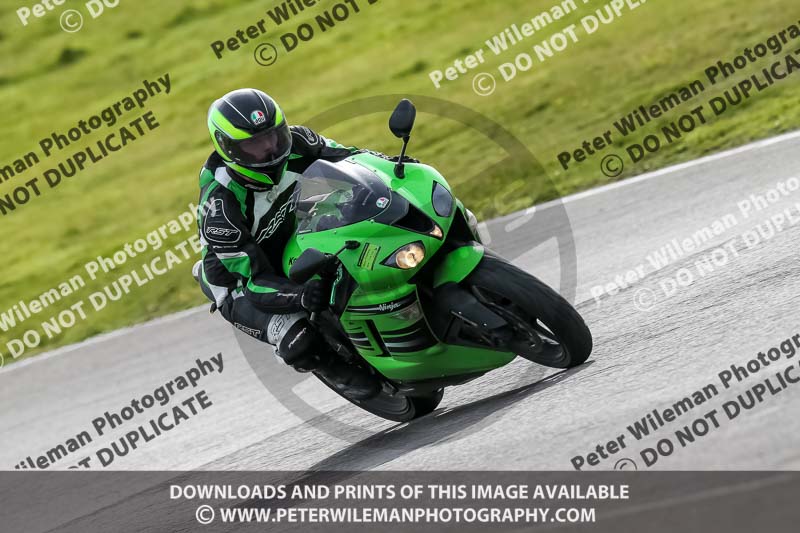 PJ Motorsport 2019;anglesey no limits trackday;anglesey photographs;anglesey trackday photographs;enduro digital images;event digital images;eventdigitalimages;no limits trackdays;peter wileman photography;racing digital images;trac mon;trackday digital images;trackday photos;ty croes